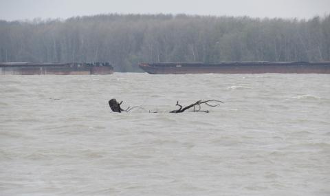 Нивото на Дунав край Ново село се вдигна с близо метър - 1