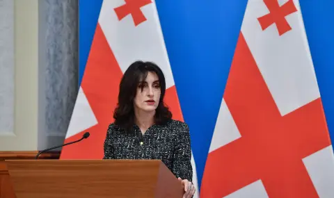 Georgia expressed readiness to mediate for peace in the South Caucasus  - 1