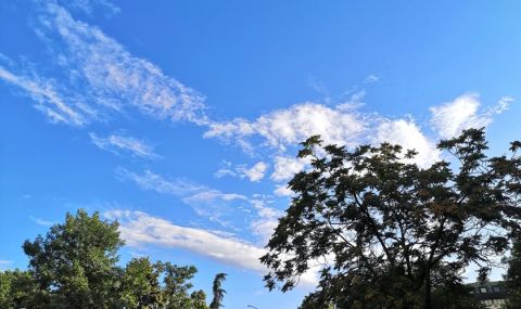 Жегата се завръща - 1