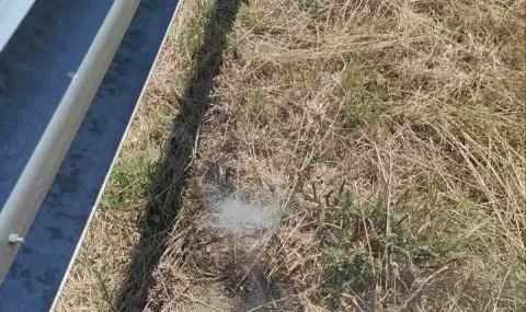 Огнеборец спря пожар, причинен от хвърлена цигара край Сопот - 1