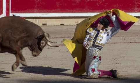 Депутати ще обсъждат днес забрана за борбите с бикове - 1