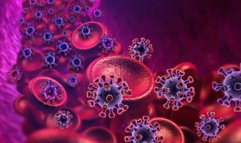 Сензационно откритие: Прекаралите лека форма на COVID-19 имат имунни клетки за цял живот - 1