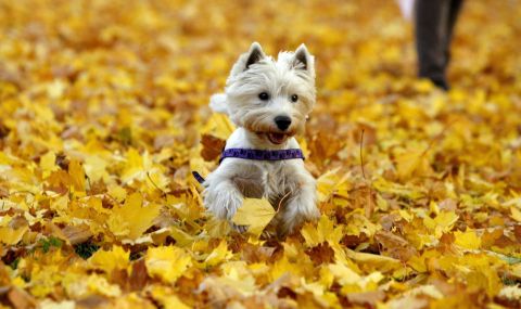 Слънчева събота - 1