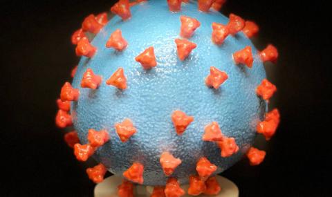 Доц. Чорбанов: Огромна част от българите никога няма да разберат, че са се сблъскали с COVID-19 - 1