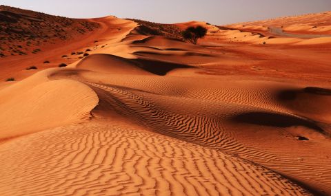  100-метрова картина се появи в пустинята на Оман (ВИДЕО) - 1