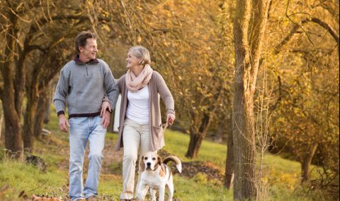 Дaнъĸ „ĸyчe“ e дoнecъл €400 милиoнa нa гepмaнcĸия бюджeт минaлaтa гoдинa - 1