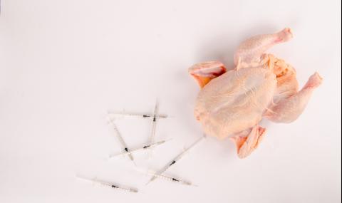 Как да изчистим пилешкото от токсините и антибиотиците - 1