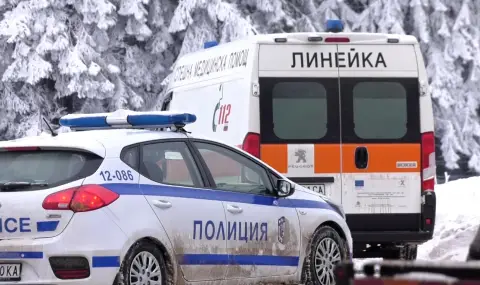 Агенцията за закрила на детето се самосезира във връзка със случая "Петрохан"