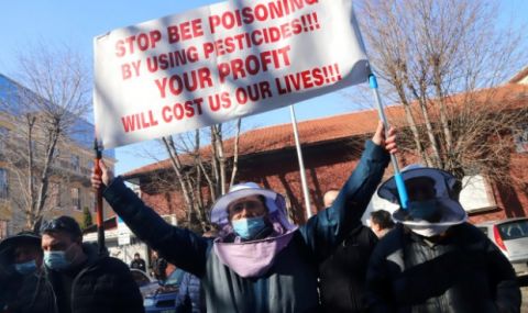 Пчелари от цялата страна излязоха на протест - 1