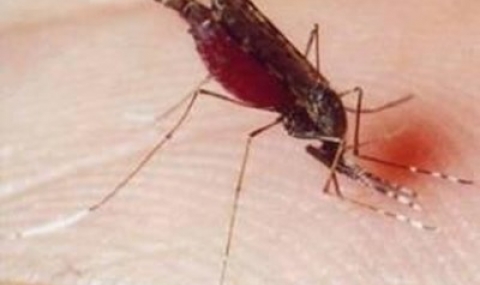 Спрейове за комари задушават децата - 1