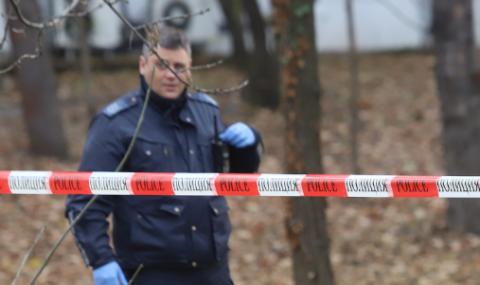 Ясна е най-вероятната версия за двойното убийство в Пловдив - 1