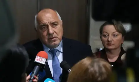 Borisov: These protests are for not adopting a budget in euros  - 1