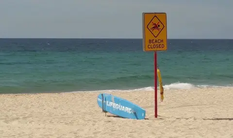 Нападения на акули затвориха плажовете в Сидни ВИДЕО