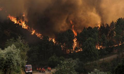 Голям пожар гори в Португалия, загина пожарникар - 1