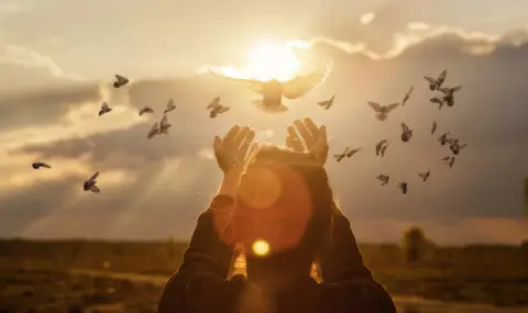 Открийте тайната на изобилието: Само 1 минута на ден за сбъдване на желания - 1