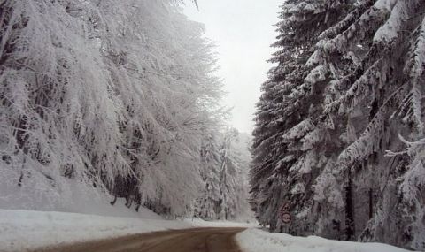 25 сантиметра сняг в прохода "Петрохан" - 1