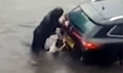 Куче помогна на жена да избута кола от водата (ВИДЕО) - 1