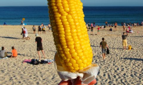 Внимавайте, когато чуете призива "Сладка млечна царевица"  на плажа (ВИДЕО) - 1