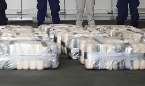 The police in Montenegro confiscated 95 kilograms of marijuana and arrested a young man  - 1