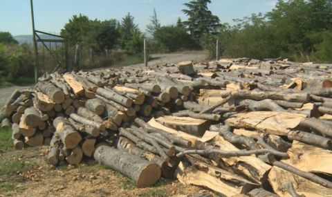 Земеделският министър обеща евтини дърва за огрев - 1