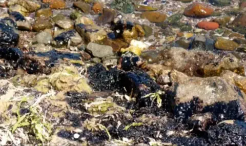 РЗИ-Бургас за мазута по плажовете: Пробите от морето не показват замърсяване на водата