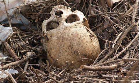 Местен откри череп в Негован - 1