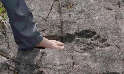 Откриха стъпка на древен гигантит, бродел по Земята (ВИДЕО) - 1