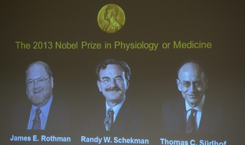 Трима нобелови лауреати по медицина тази година - 1