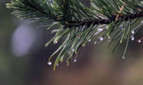 Липса на екипировка е довела до смъртния случай в Пирин - 1