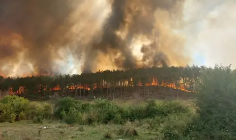 500 декара гори горят край Копривщица - 1