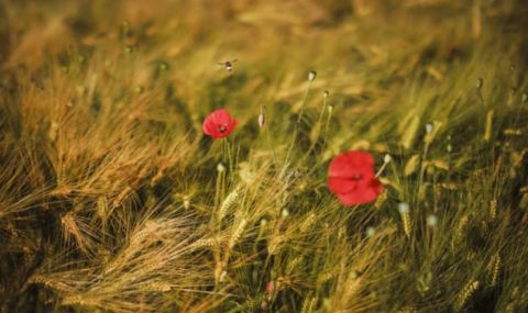 Остава слънчево, температурите се повишават - 1