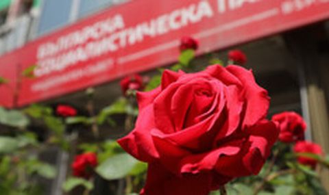 БСП прави втори опит за Национален съвет - 1