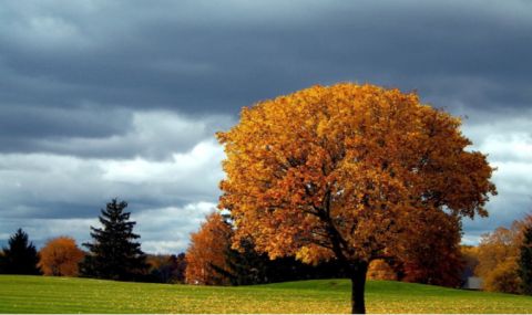 Облачен финал на работната седмица - 1