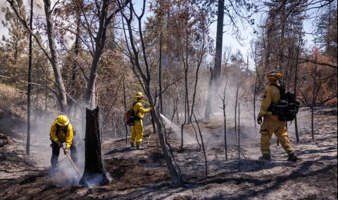 Големият пожар в щата Калифорния се разраства - 1