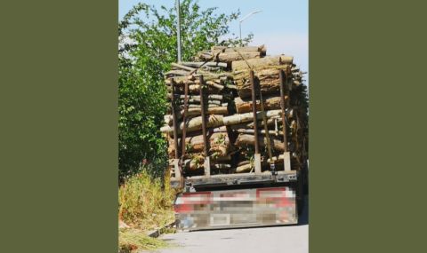 Девет години след трагедията в Аспарухово: Фирма изсича дървета в местността "Зеленика" и ще строи жилищна сграда - 1
