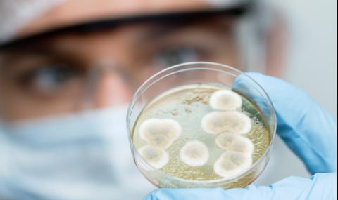 Микробиолози: Човечеството загива, науката е безсилна - 1