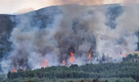 Най-вероятно още догодина България ще разполага с летателна техника за гасене на пожари - 1
