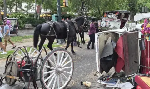 A frightened horse overturned a carriage and killed a tourist in New York's Central Park  - 1