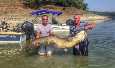 Рибари хванаха истинско чудовище, но го върнаха във водата - 1