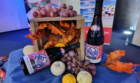 Yotova: The French-Bulgarian Chamber of Commerce and Industry is the most ambitious (VIDEO)  - 1