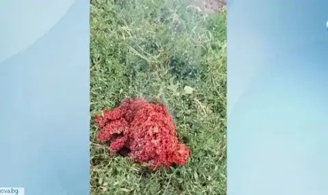 Загадъчно вещество падна в двор в Якоруда - 1