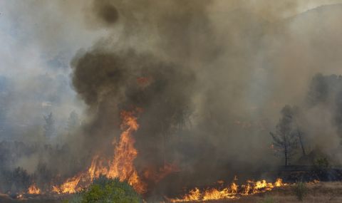 Голям горски пожар в Североизточна Испания - 1