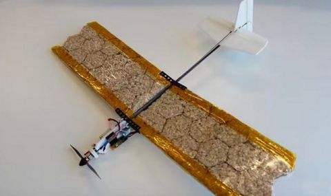 Учени разработиха ядливи дронове - 1