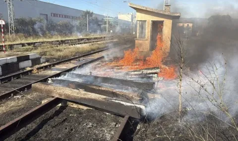 Овладяха големия пожар край Горно Сахране