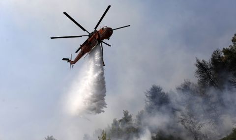 Над 50 пожара бушуват в Гърция - 1