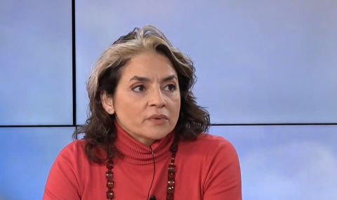 Биляна Гяурова-Вегерстедер: Нидерландия и Австрия  ни спират за Шенген по вътрешнополитически причини - 1