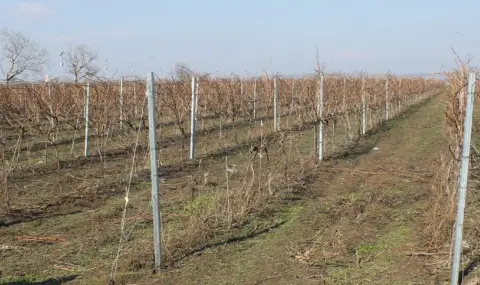 В пъти поскъпват таксите за земеделски земи - 1