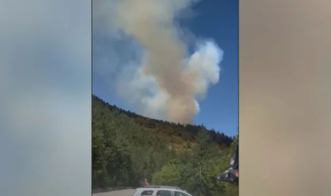 Голям горски пожар между Хвойна и Чепеларе - 1