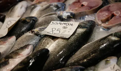 Започват засилени проверки в рибните магазини и борси в навечерието на Никулден - 1