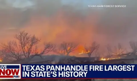 Огненият ад в Тексас: Унищожени са близо 500 постройки ВИДЕО - 1